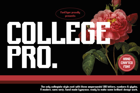 College Pro: Bold Display Fonts for Handmade Branding